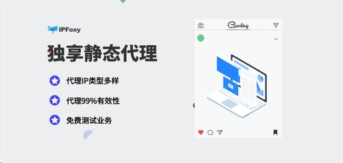 獨享靜態代理IP 解鎖海外市場調研精準洞察的商務利器